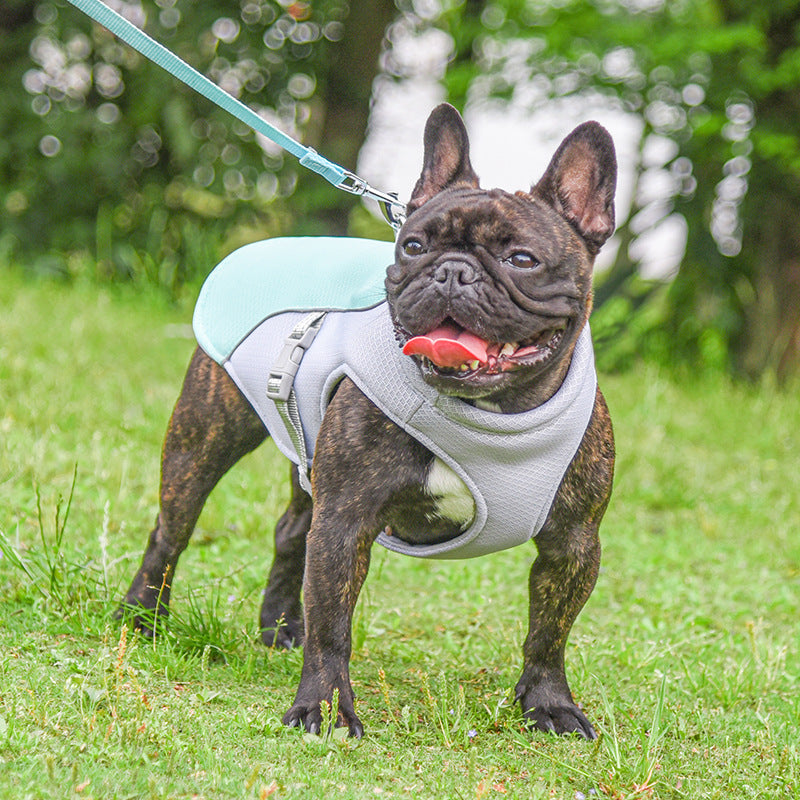 Pet summer heat vest
