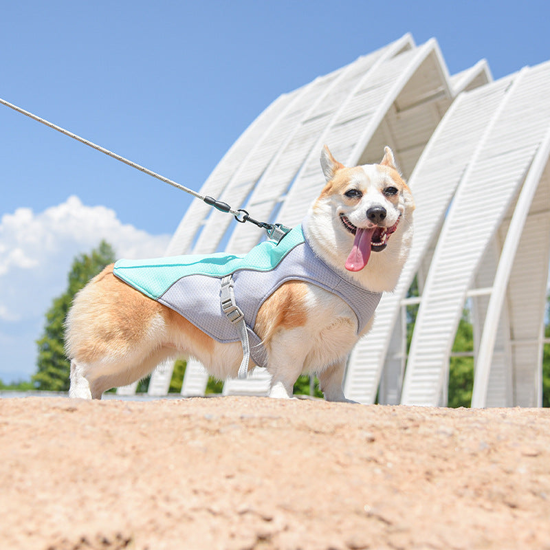 Pet summer heat vest