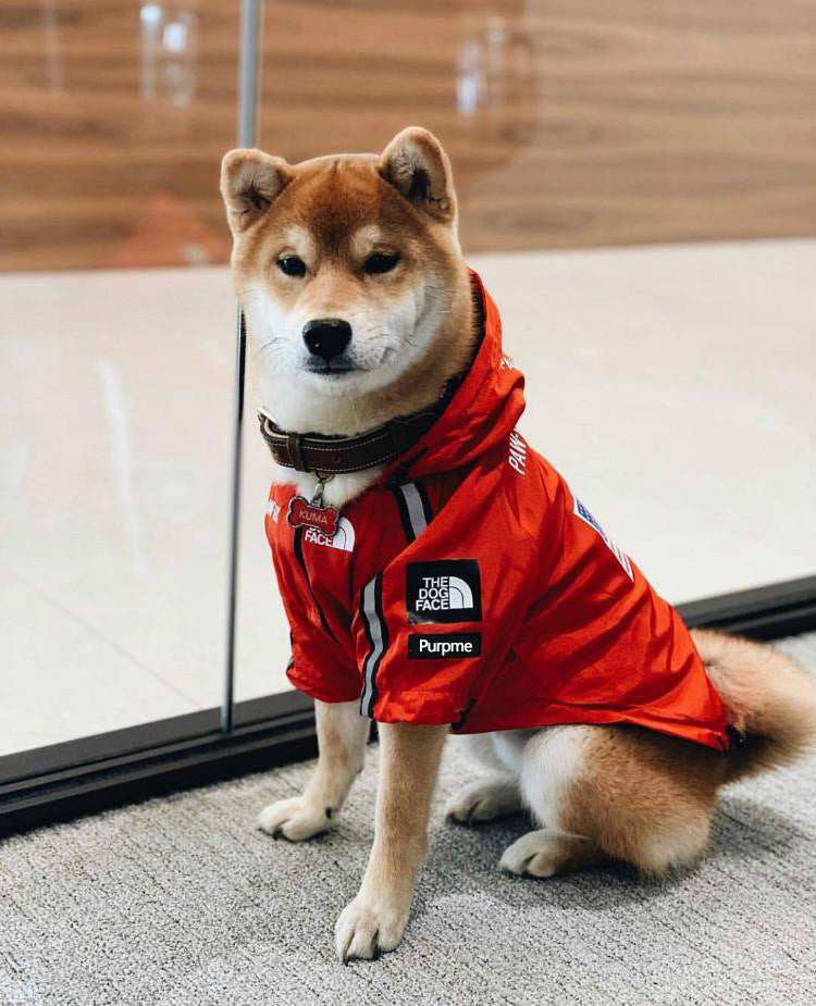 Dog north face jacket windproof and rainproof polyester dog raincoat