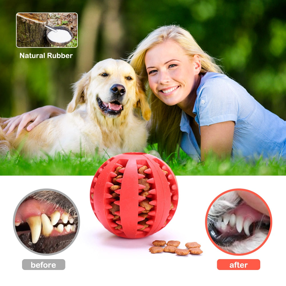 Rubber Tooth Cleaning Indestructible Dog Food Ball