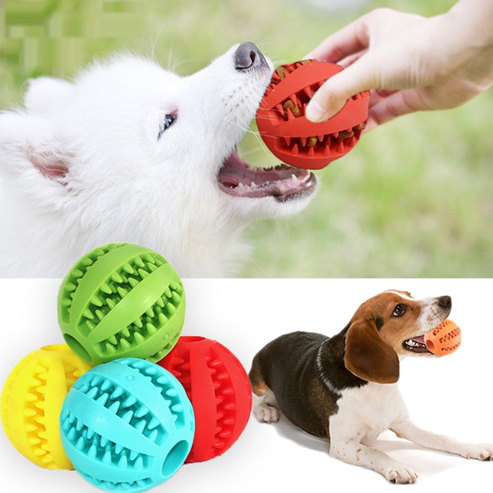 Rubber Tooth Cleaning Indestructible Dog Food Ball